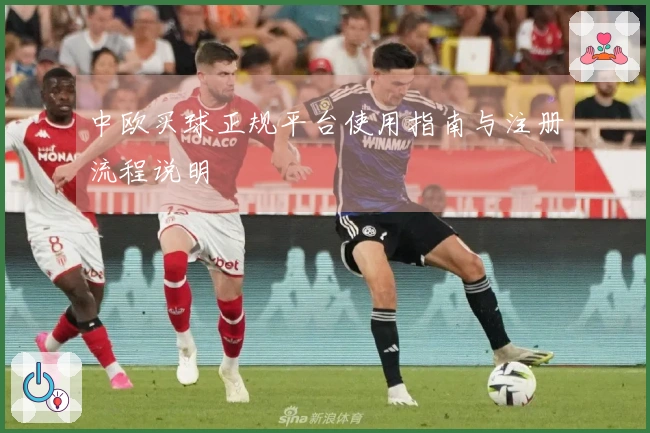 中欧买球正规平台使用指南与注册流程说明