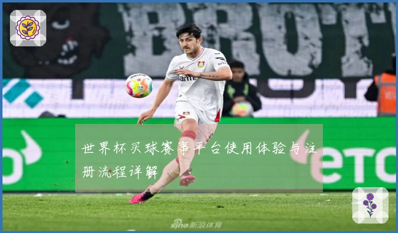 世界杯买球赛事平台使用体验与注册流程详解