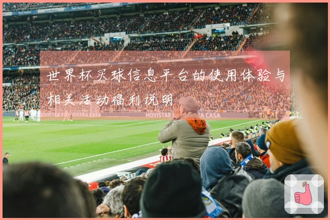 世界杯买球信息平台的使用体验与相关活动福利说明