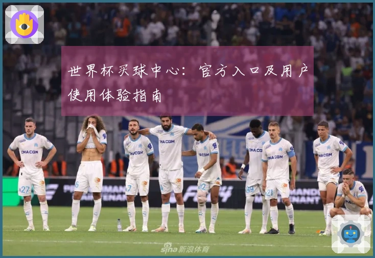 世界杯买球中心：官方入口及用户使用体验指南