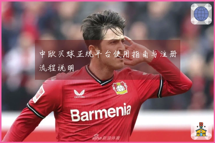 中欧买球正规平台使用指南与注册流程说明