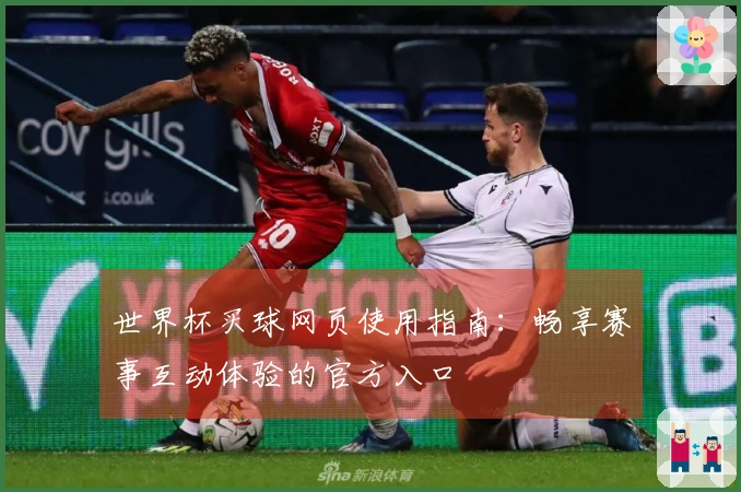 世界杯买球网页使用指南：畅享赛事互动体验的官方入口