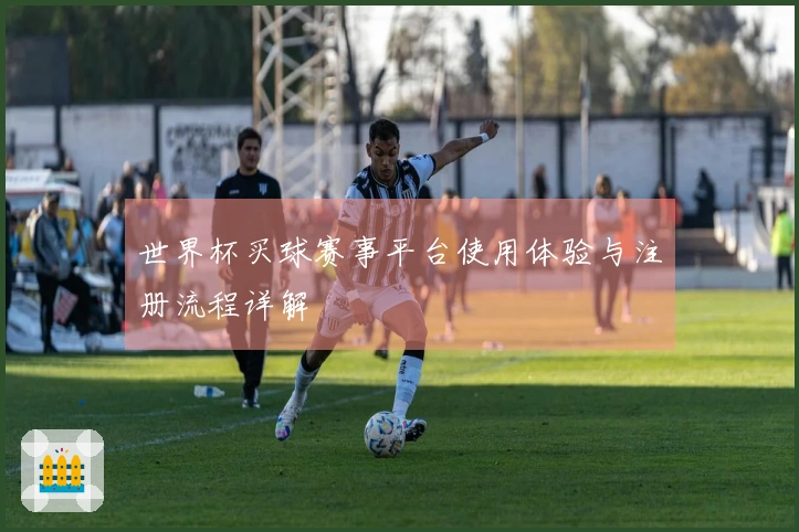 世界杯买球赛事平台使用体验与注册流程详解