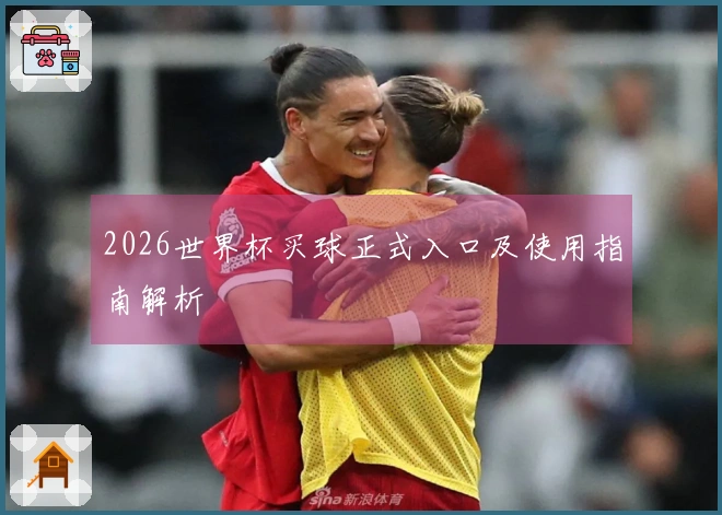 2026世界杯买球正式入口及使用指南解析
