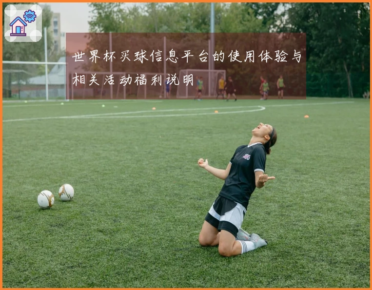 世界杯买球信息平台的使用体验与相关活动福利说明