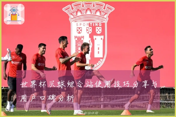世界杯买球综合站使用技巧分享与用户口碑分析