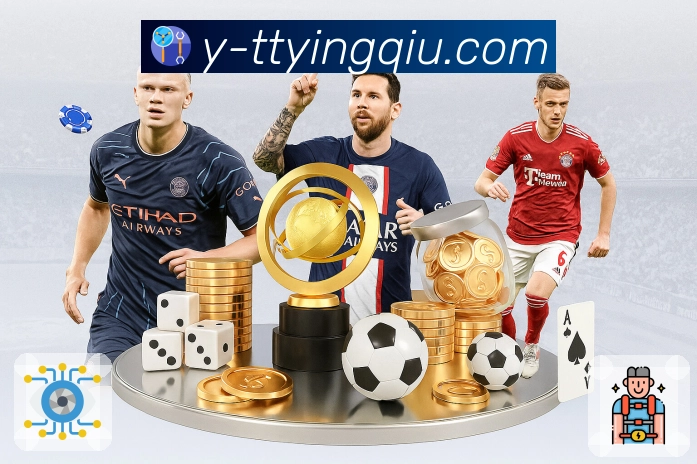 天天盈球服务体系